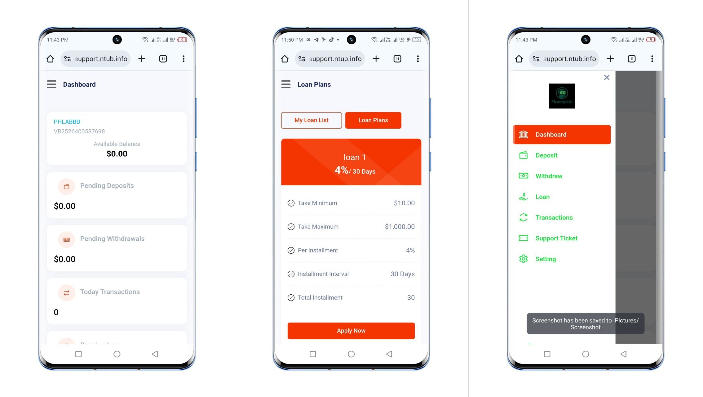 Loan Website